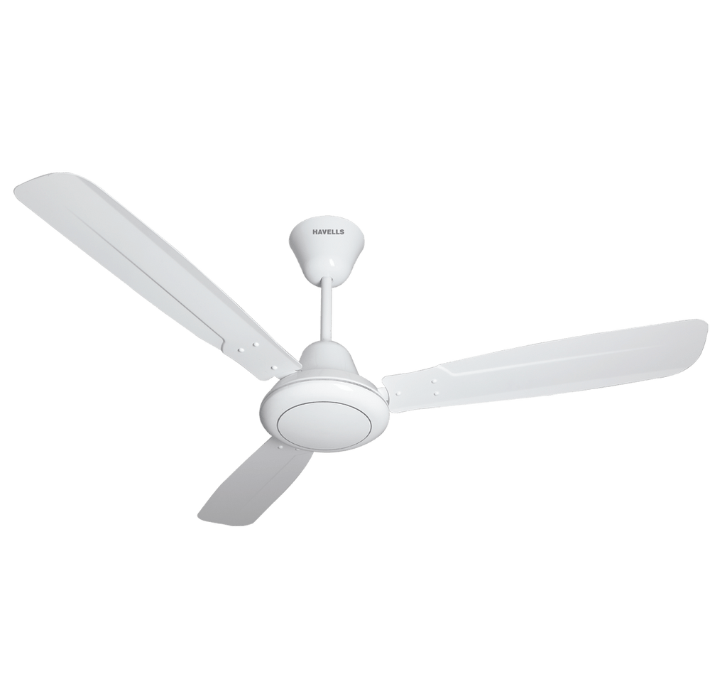 Acidulant -- Outrageous Love Ste fan vol.40